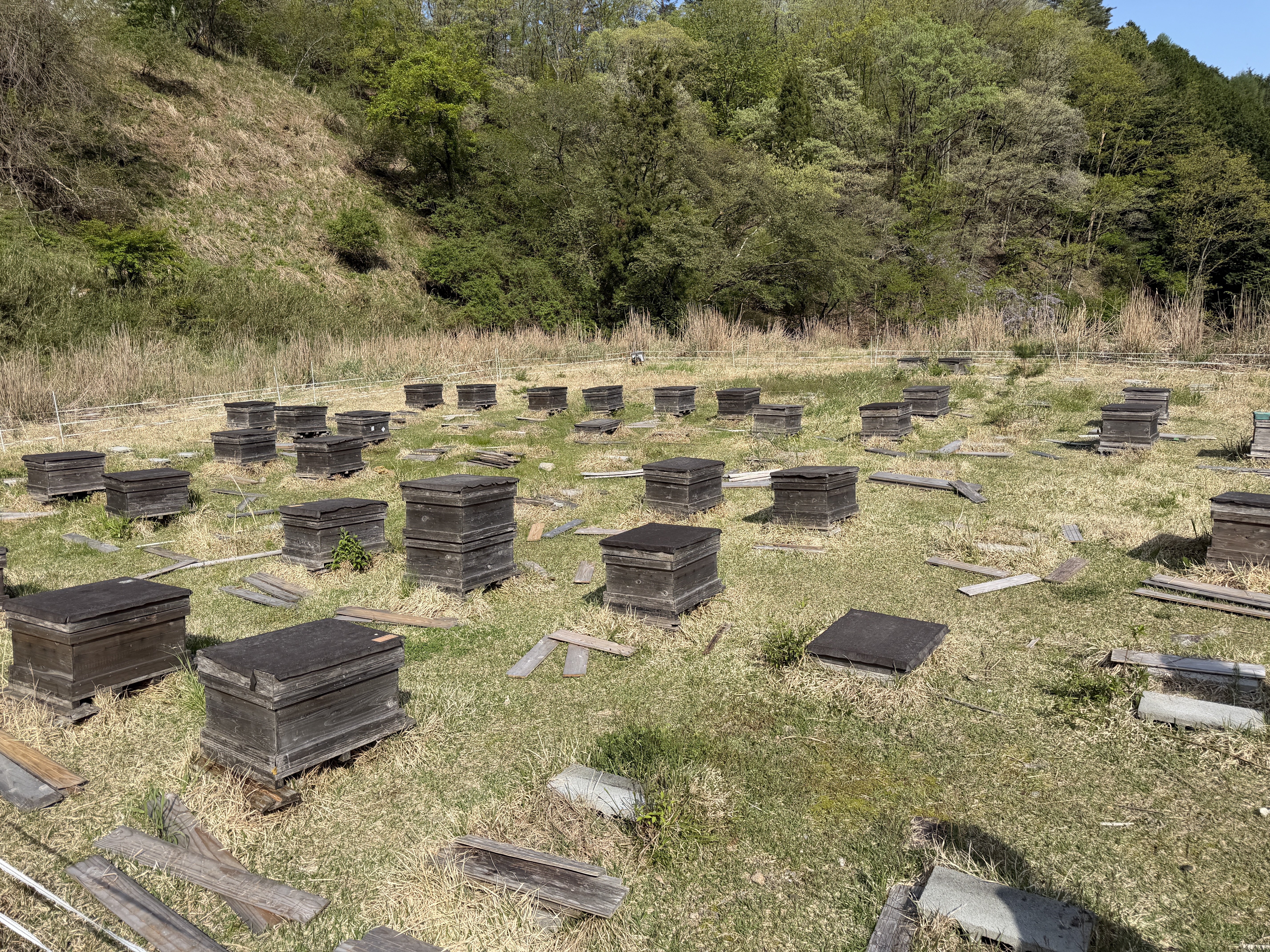 西粟倉の山のなかに並ぶ巣箱たち ── 講神さんの蜂場